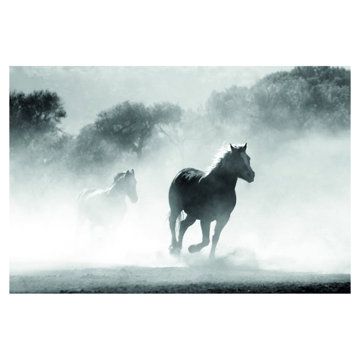 Two horses running in a misty field with trees in the background pierre