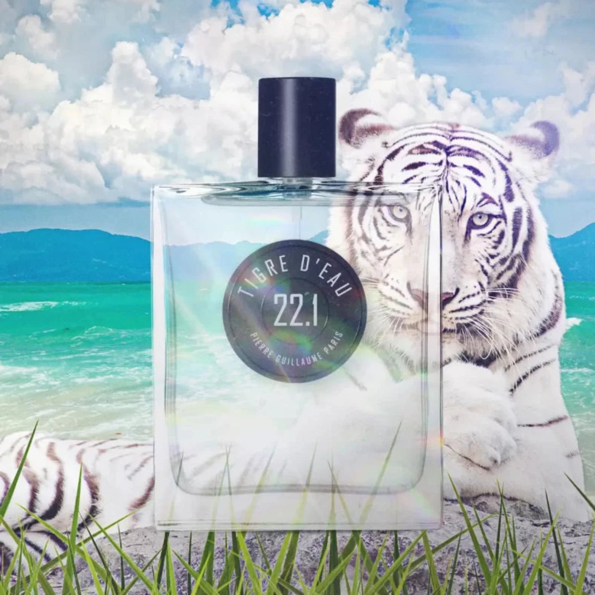 22.1 Tigre d'Eau - Pierre Guillaume Paris
