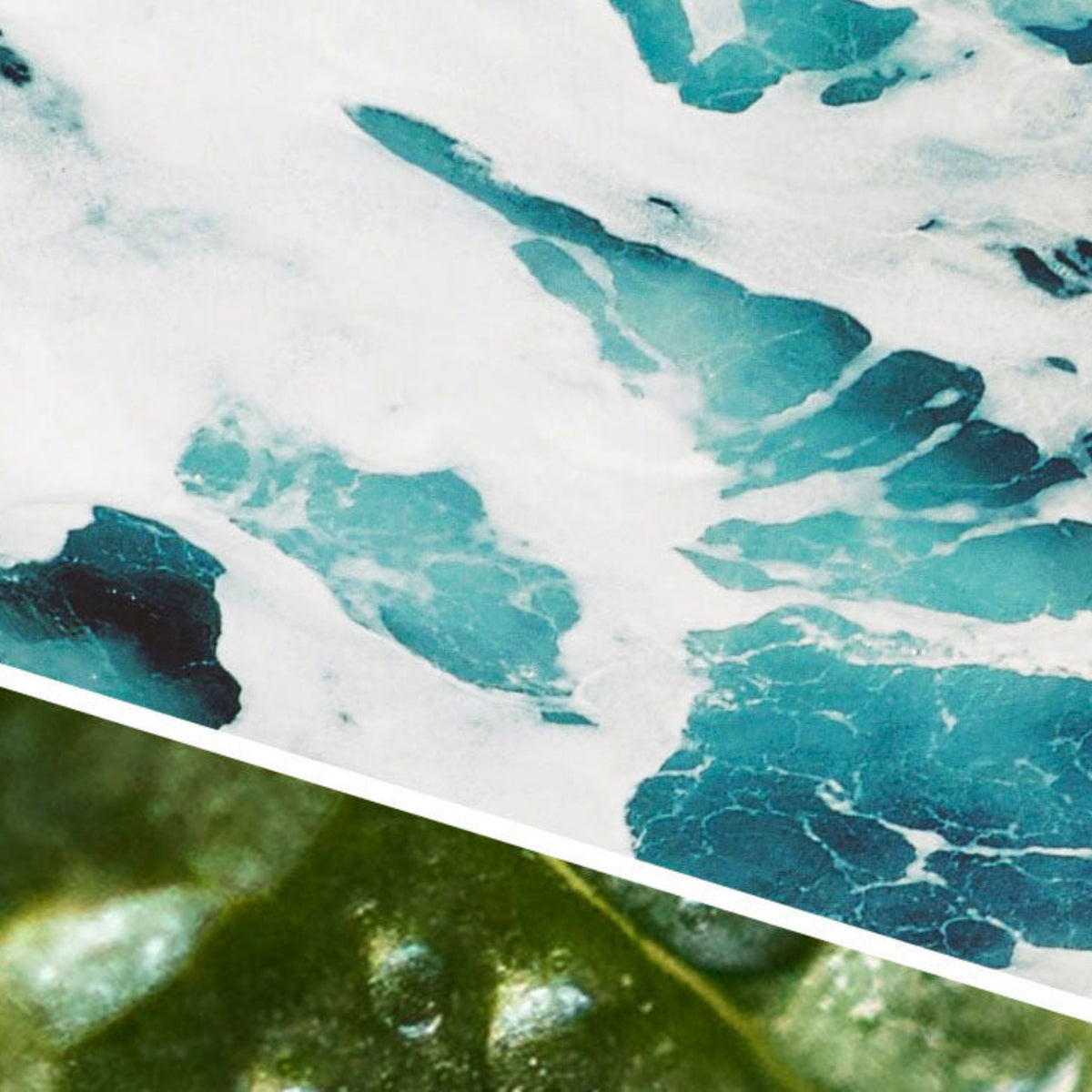 Close-up of ocean waves with a green leafy texture overlay