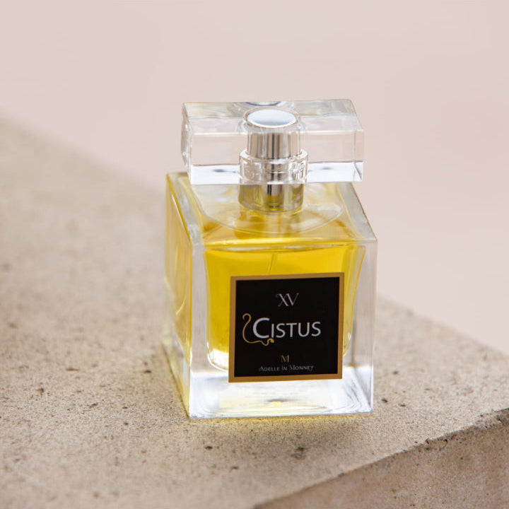 Cistus - Adelle in Monney